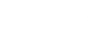arsenal strength